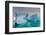 Skontorp cove, Paradise Bay, Antarctica.-Sergio Pitamitz-Framed Photographic Print