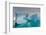 Skontorp cove, Paradise Bay, Antarctica.-Sergio Pitamitz-Framed Photographic Print