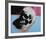 Skull, 1976 (white on blue and pink)-Andy Warhol-Framed Art Print