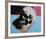 Skull, 1976 (white on blue and pink)-Andy Warhol-Framed Art Print