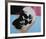 Skull, 1976 (white on blue and pink)-Andy Warhol-Framed Art Print