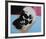 Skull, 1976 (white on blue and pink)-Andy Warhol-Framed Art Print