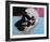 Skull, 1976 (white on blue and pink)-Andy Warhol-Framed Art Print