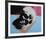 Skull, 1976 (white on blue and pink)-Andy Warhol-Framed Art Print