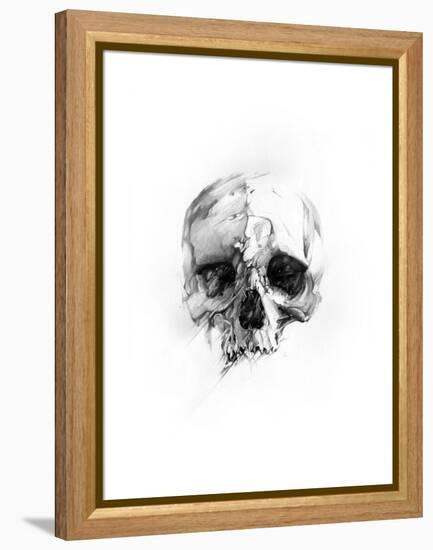 Skull 46-Alexis Marcou-Framed Stretched Canvas