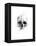 Skull 46-Alexis Marcou-Framed Stretched Canvas