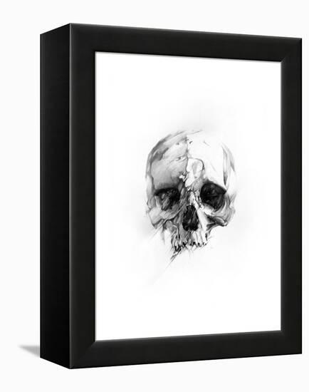 Skull 46-Alexis Marcou-Framed Stretched Canvas