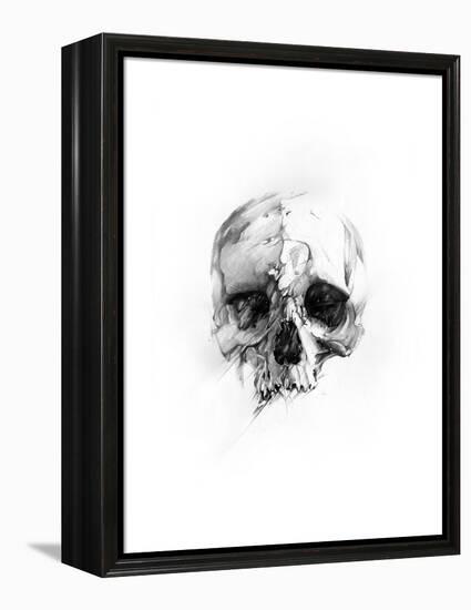 Skull 46-Alexis Marcou-Framed Stretched Canvas