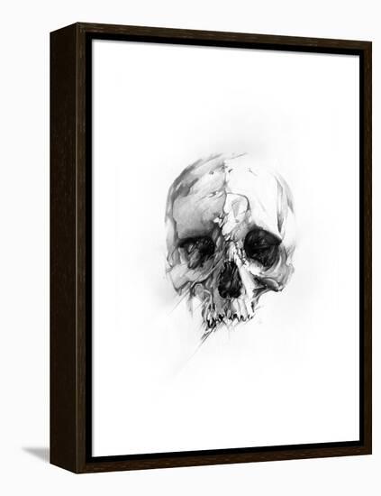 Skull 46-Alexis Marcou-Framed Stretched Canvas