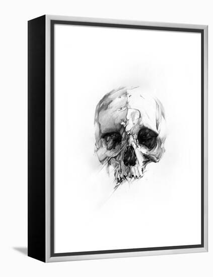 Skull 46-Alexis Marcou-Framed Stretched Canvas