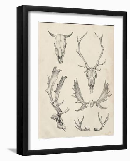 Skull and Antler Study II-Ethan Harper-Framed Art Print