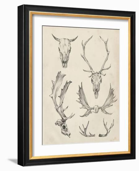 Skull and Antler Study II-Ethan Harper-Framed Art Print