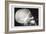 Skull and Hand-null-Framed Premium Giclee Print