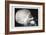 Skull and Hand-null-Framed Premium Giclee Print