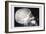 Skull and Hand-null-Framed Art Print