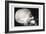 Skull and Hand-null-Framed Premium Giclee Print