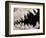 Skull and Teeth of Hyena-null-Framed Photographic Print