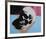 Skull, c.1976 (White on Blue and Pink)-Andy Warhol-Framed Giclee Print