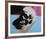 Skull, c.1976 (White on Blue and Pink)-Andy Warhol-Framed Giclee Print