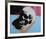 Skull, c.1976 (White on Blue and Pink)-Andy Warhol-Framed Giclee Print