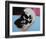 Skull, c.1976 (White on Blue and Pink)-Andy Warhol-Framed Giclee Print