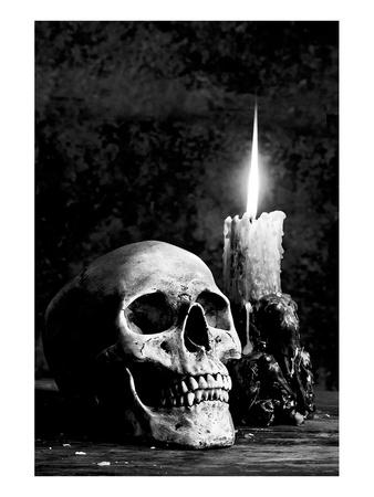 Skull Candle Black & White