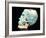 Skull Decorated with Turquoise from the Treasury of Tomb 7 in Monte Alban-null-Framed Giclee Print