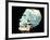 Skull Decorated with Turquoise from the Treasury of Tomb 7 in Monte Alban-null-Framed Giclee Print