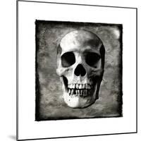 Skull I-Martin Wagner-Mounted Giclee Print