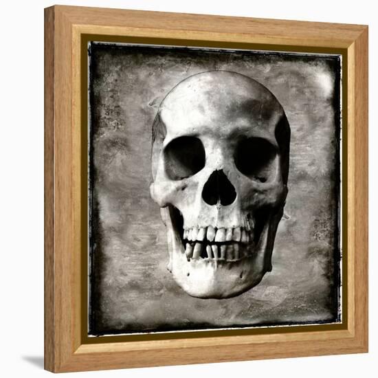 Skull I-Martin Wagner-Framed Stretched Canvas