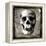 Skull I-Martin Wagner-Framed Stretched Canvas