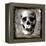 Skull I-Martin Wagner-Framed Stretched Canvas