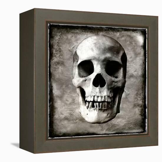 Skull I-Martin Wagner-Framed Stretched Canvas