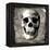 Skull I-Martin Wagner-Framed Stretched Canvas