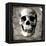 Skull I-Martin Wagner-Framed Stretched Canvas