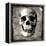 Skull I-Martin Wagner-Framed Stretched Canvas