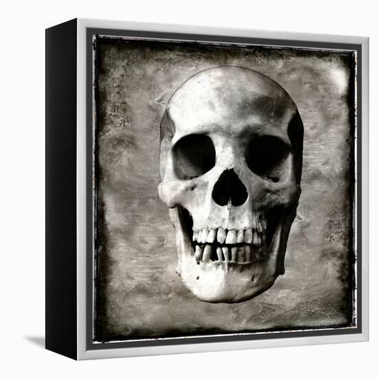 Skull I-Martin Wagner-Framed Stretched Canvas