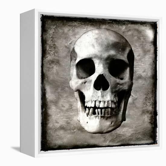 Skull I-Martin Wagner-Framed Stretched Canvas