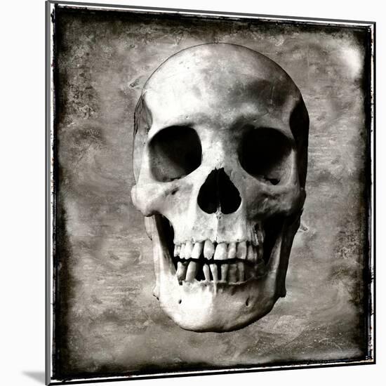 Skull I-Martin Wagner-Mounted Art Print