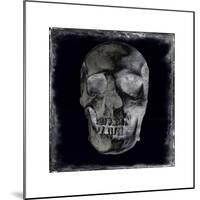 Skull II-Martin Wagner-Mounted Giclee Print