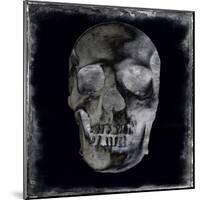 Skull II-Martin Wagner-Mounted Giclee Print