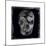 Skull II-Martin Wagner-Mounted Giclee Print