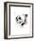 Skull II-Philippe Debongnie-Framed Art Print