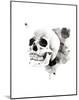 Skull II-Philippe Debongnie-Mounted Art Print