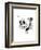 Skull II-Philippe Debongnie-Framed Art Print