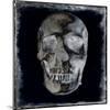 Skull II-Martin Wagner-Mounted Art Print