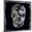 Skull II-Martin Wagner-Mounted Art Print
