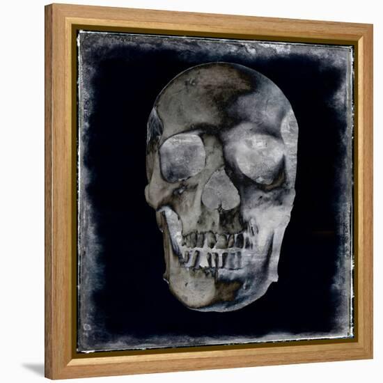 Skull II-Martin Wagner-Framed Stretched Canvas