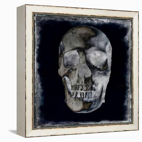 Skull II-Martin Wagner-Framed Stretched Canvas