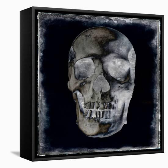 Skull II-Martin Wagner-Framed Stretched Canvas